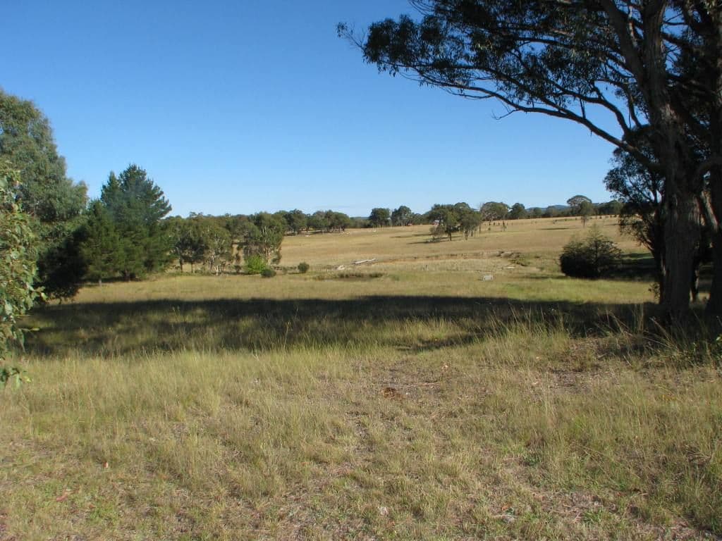 INVERGOWRIE NSW 2350, Invergowrie - Thumbnail 8