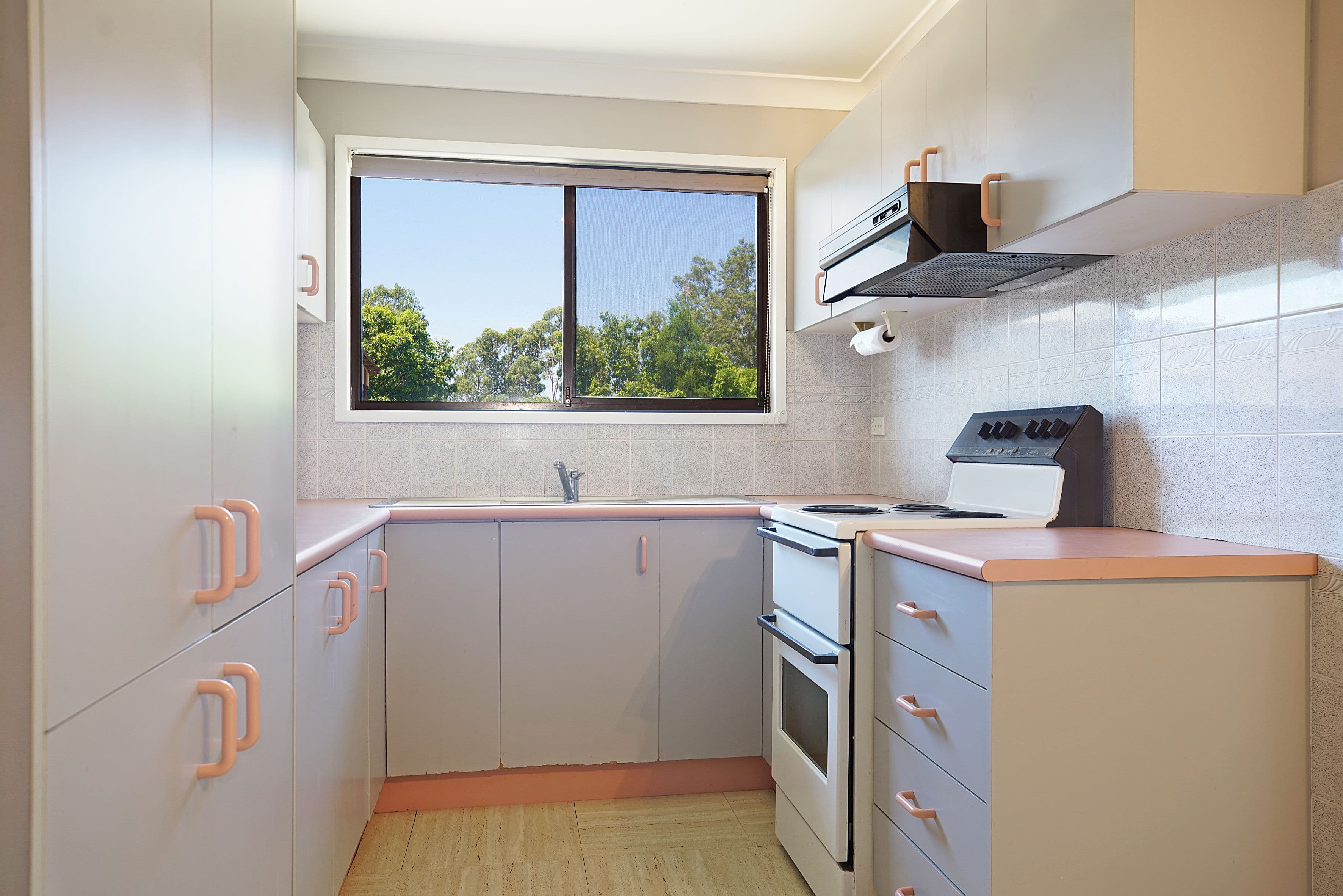 12 Dundee Street, Cambridge Park - Thumbnail 3