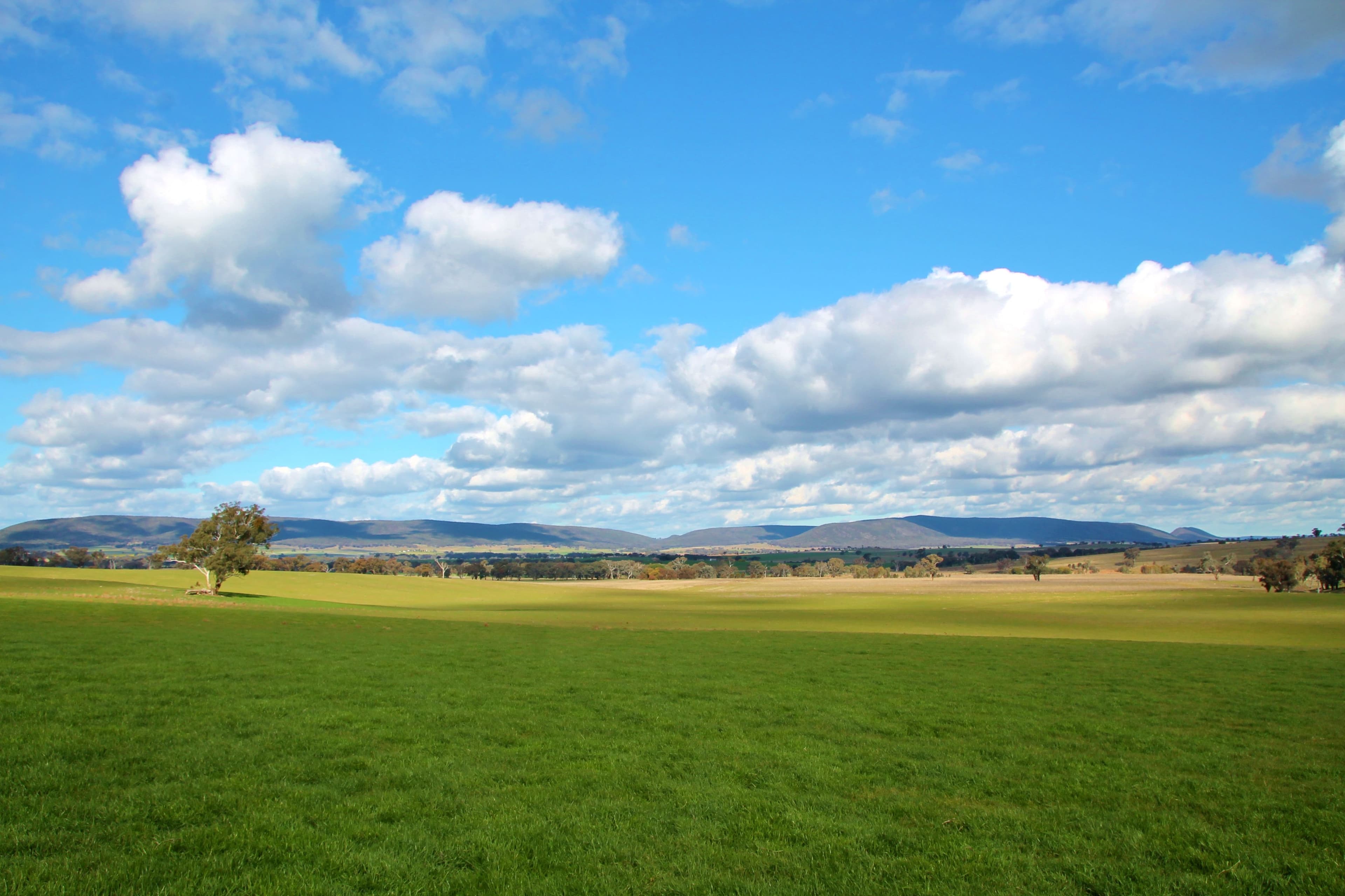 0 Crouchdale Lane, Bendick Murrell, Young NSW 2594, Young - Thumbnail 2