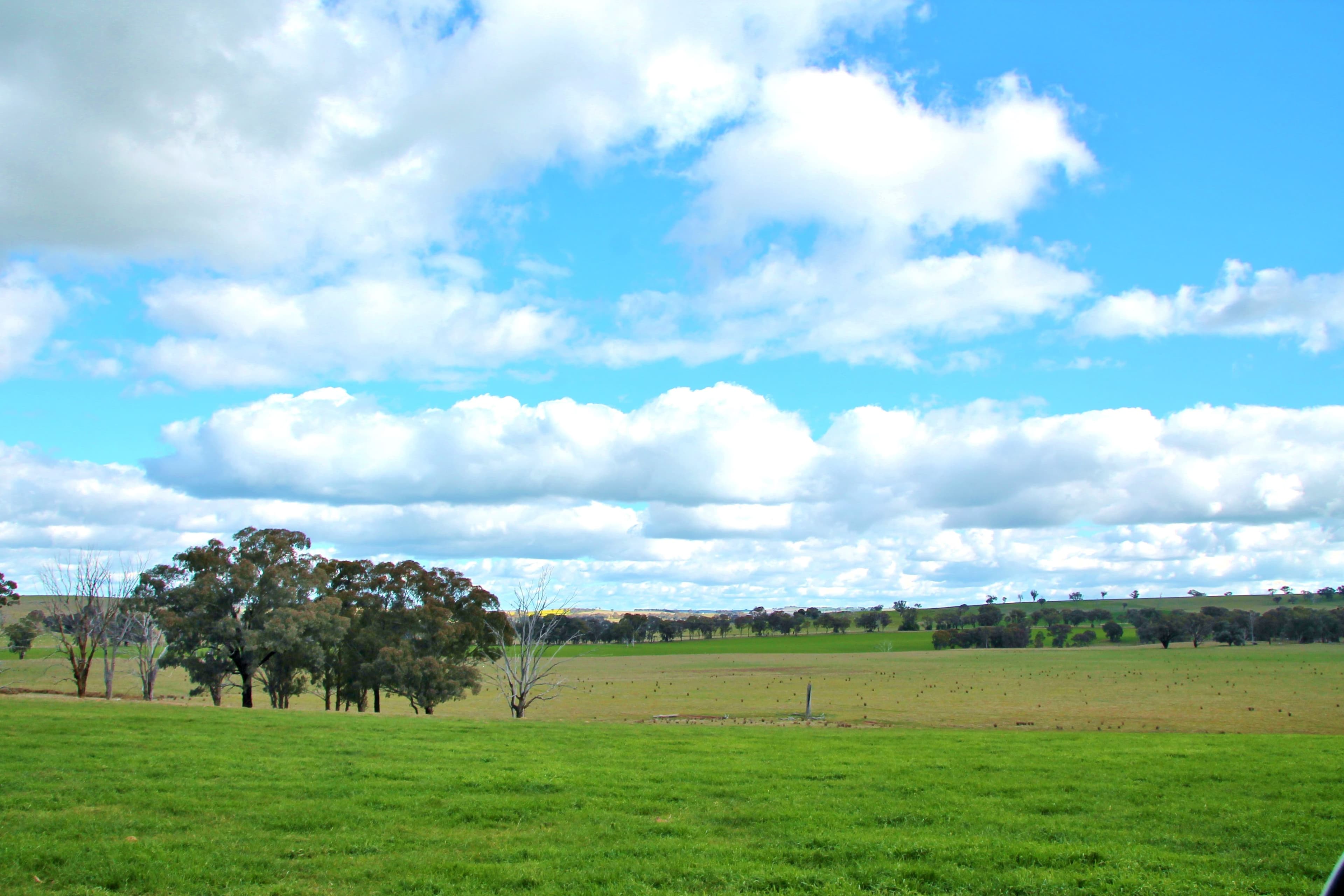 0 Crouchdale Lane, Bendick Murrell, Young NSW 2594, Young - Thumbnail 3