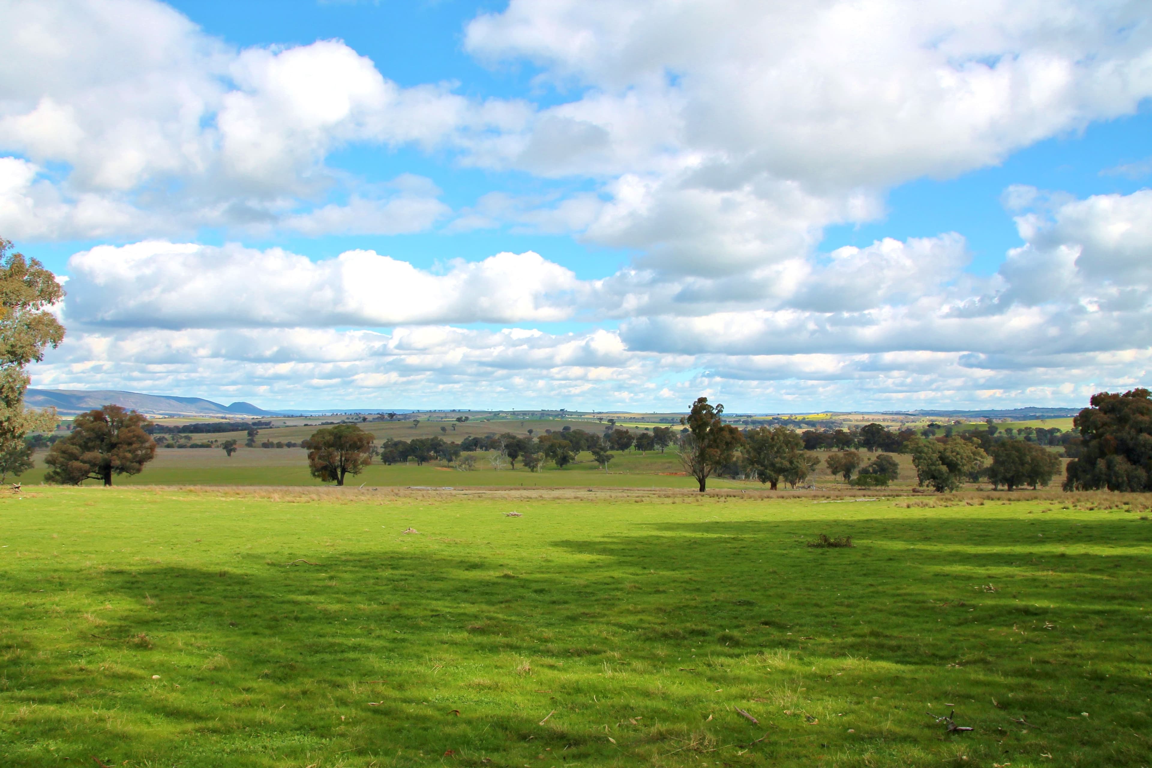 0 Crouchdale Lane, Bendick Murrell, Young NSW 2594, Young - Thumbnail 5