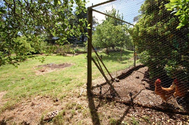 35 Kerry Road, WARRANWOOD VIC 3134, Warranwood - Thumbnail 4