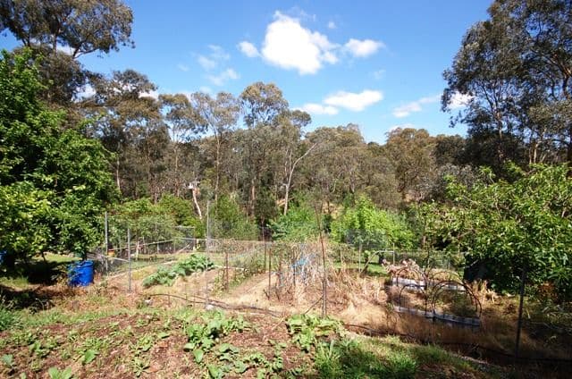 35 Kerry Road, WARRANWOOD VIC 3134, Warranwood - Thumbnail 6