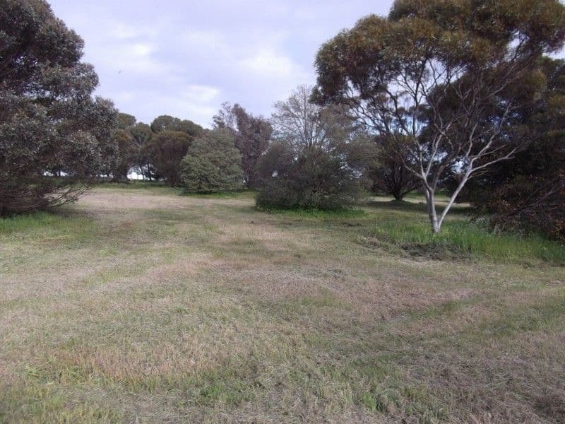 20 Bute Road, KULPARA SA 5555, Kulpara - Thumbnail 6