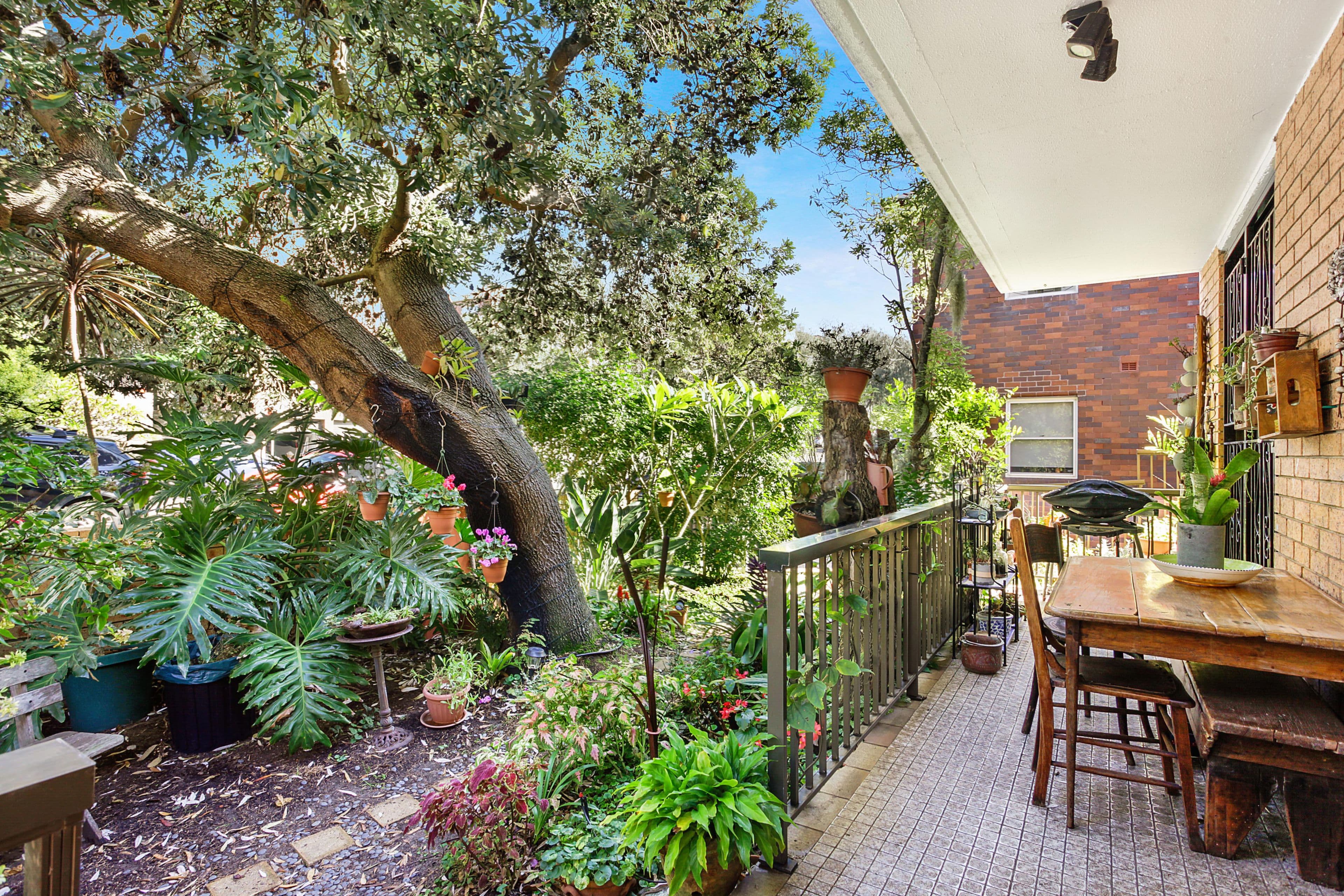 41 Francis Street, Bondi Beach NSW 2026, Bondi Beach - Thumbnail 3