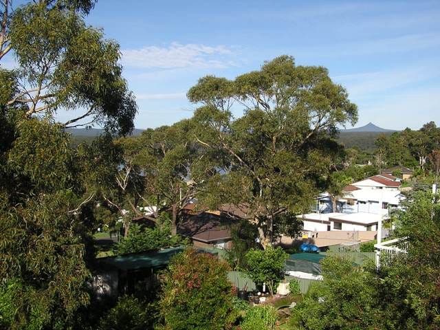 16 Braidwood Avenue, BURRILL LAKE NSW 2539, Burrill Lake - Thumbnail 5