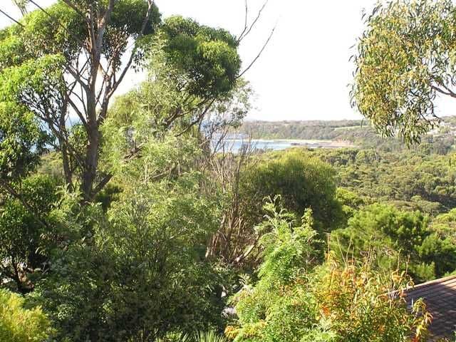 16 Braidwood Avenue, BURRILL LAKE NSW 2539, Burrill Lake - Thumbnail 6