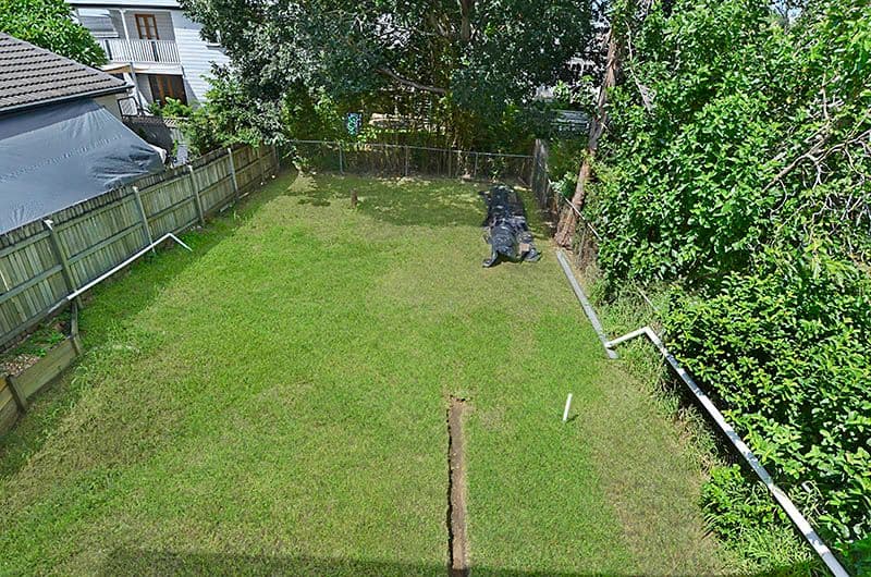 19 Balowrie Street, Hamilton QLD 4007, Hamilton - Thumbnail 4