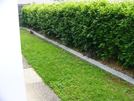 39 Johnston Street, CARINA QLD 4152, Carina - Thumbnail 3