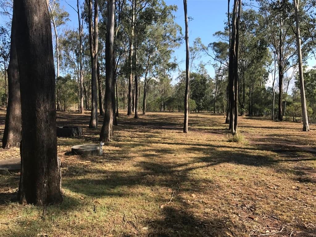 6 De Ville Court, South Bingera QLD 4670, South Bingera - Thumbnail 2