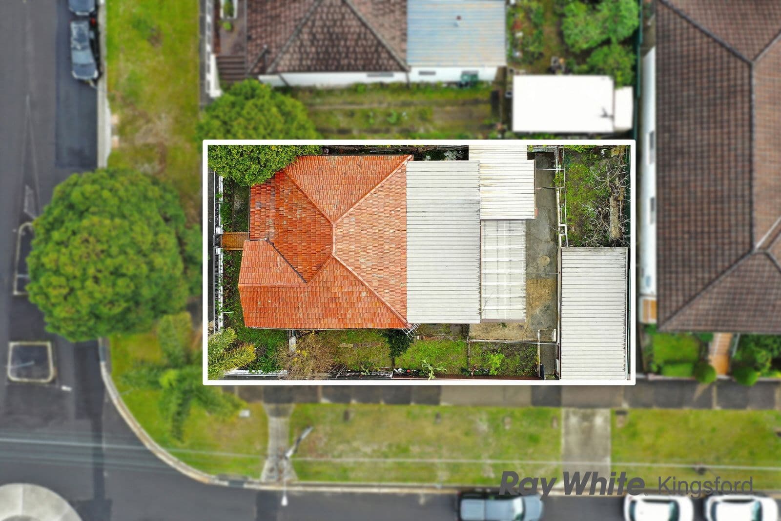 26 Meeks Street, Kingsford NSW 2032, Kingsford - Thumbnail 4