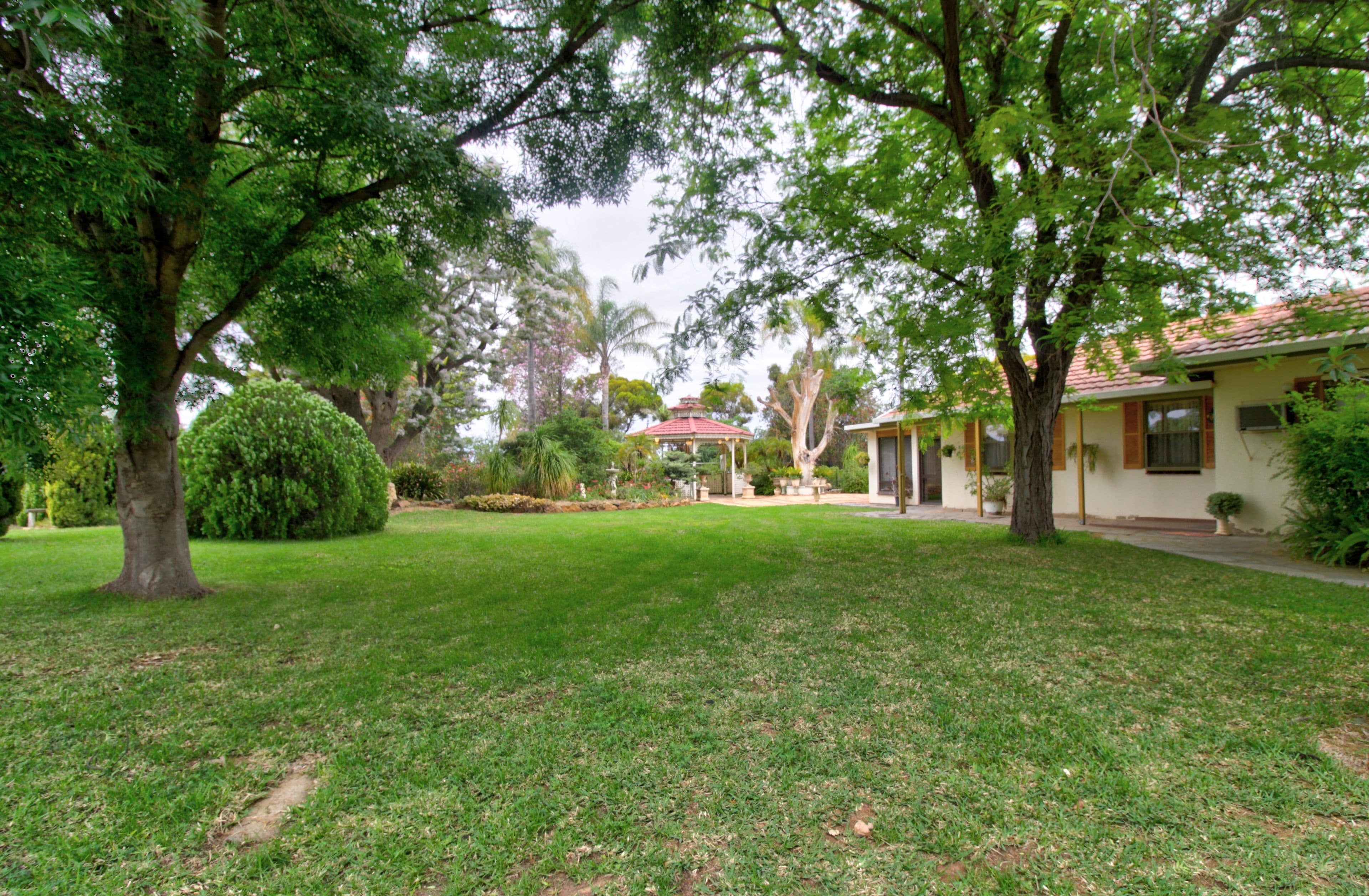 194 Anderson Road, Loxton SA 5333, Loxton North - Thumbnail 4