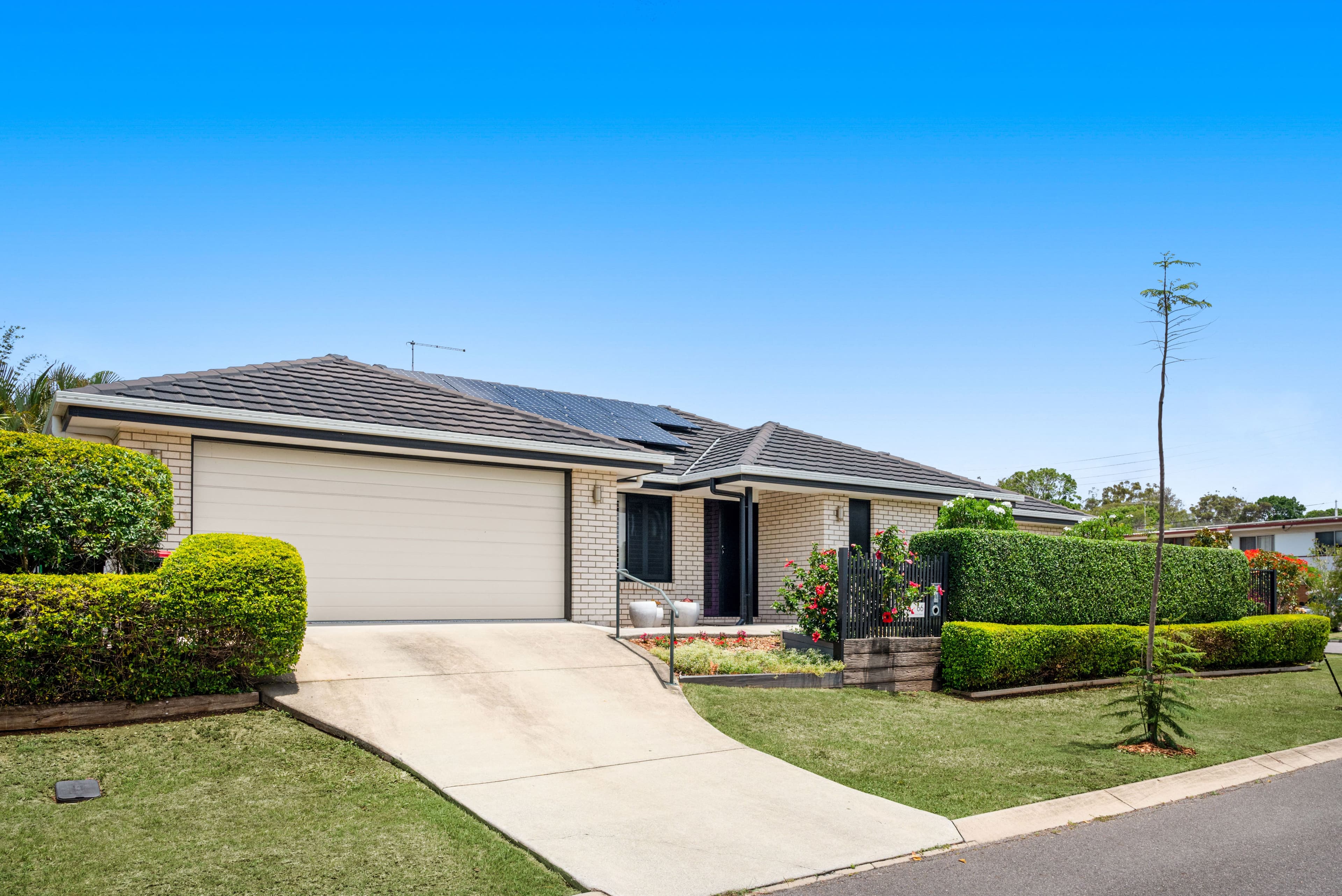 66 Saint Conel Street, Nudgee QLD 4014, Nudgee - Thumbnail 3
