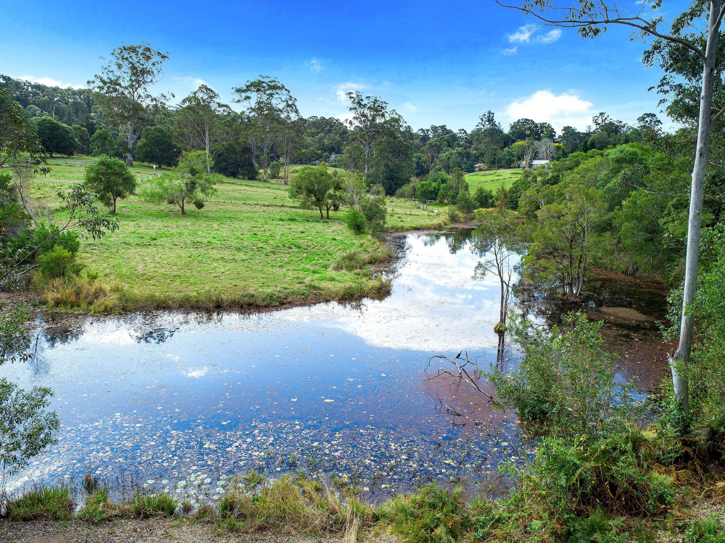 487 Kenilworth Skyring Creek Road, Ridgewood QLD 4563, Ridgewood - Thumbnail 3