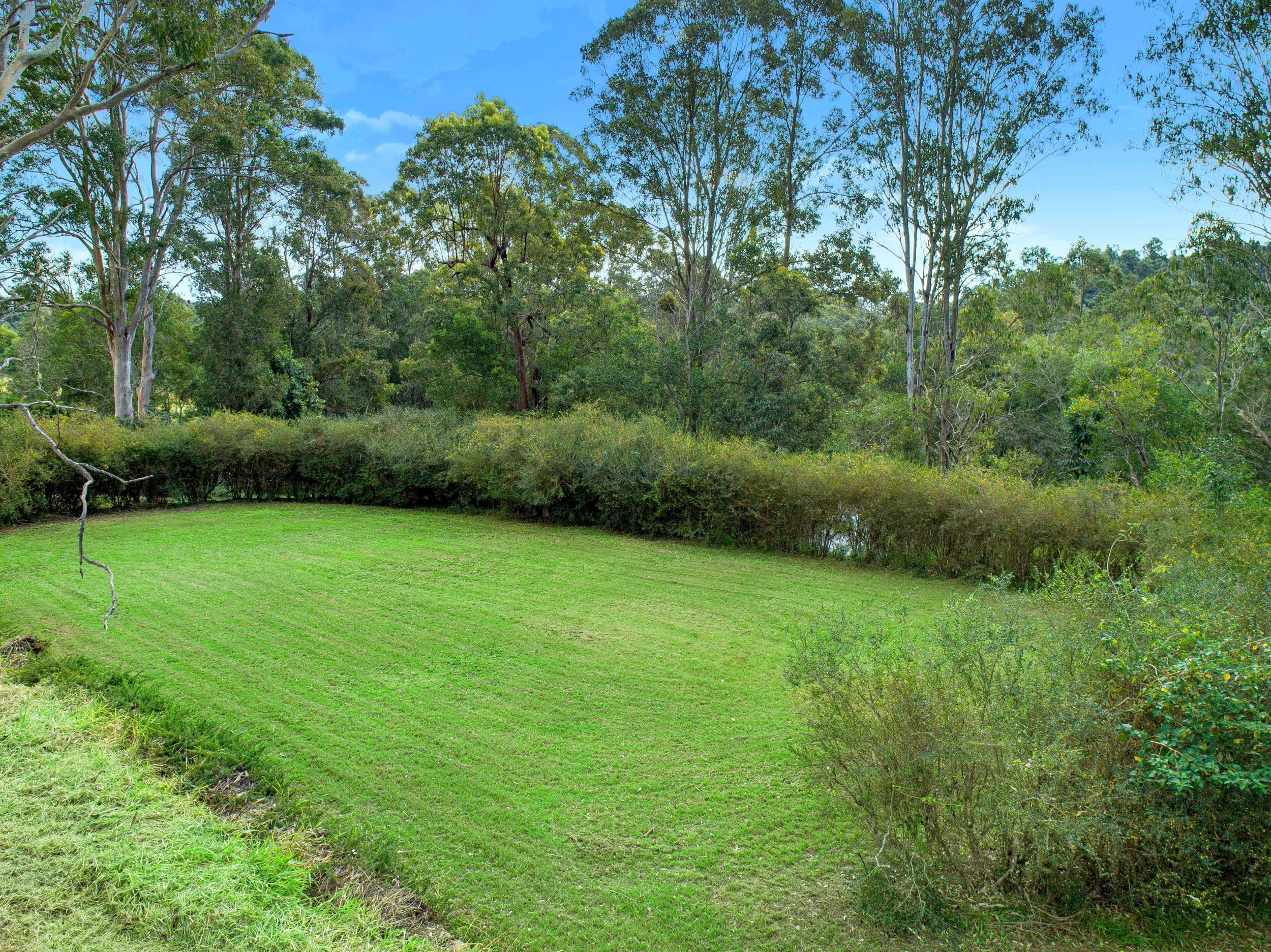 487 Kenilworth Skyring Creek Road, Ridgewood QLD 4563, Ridgewood - Thumbnail 4