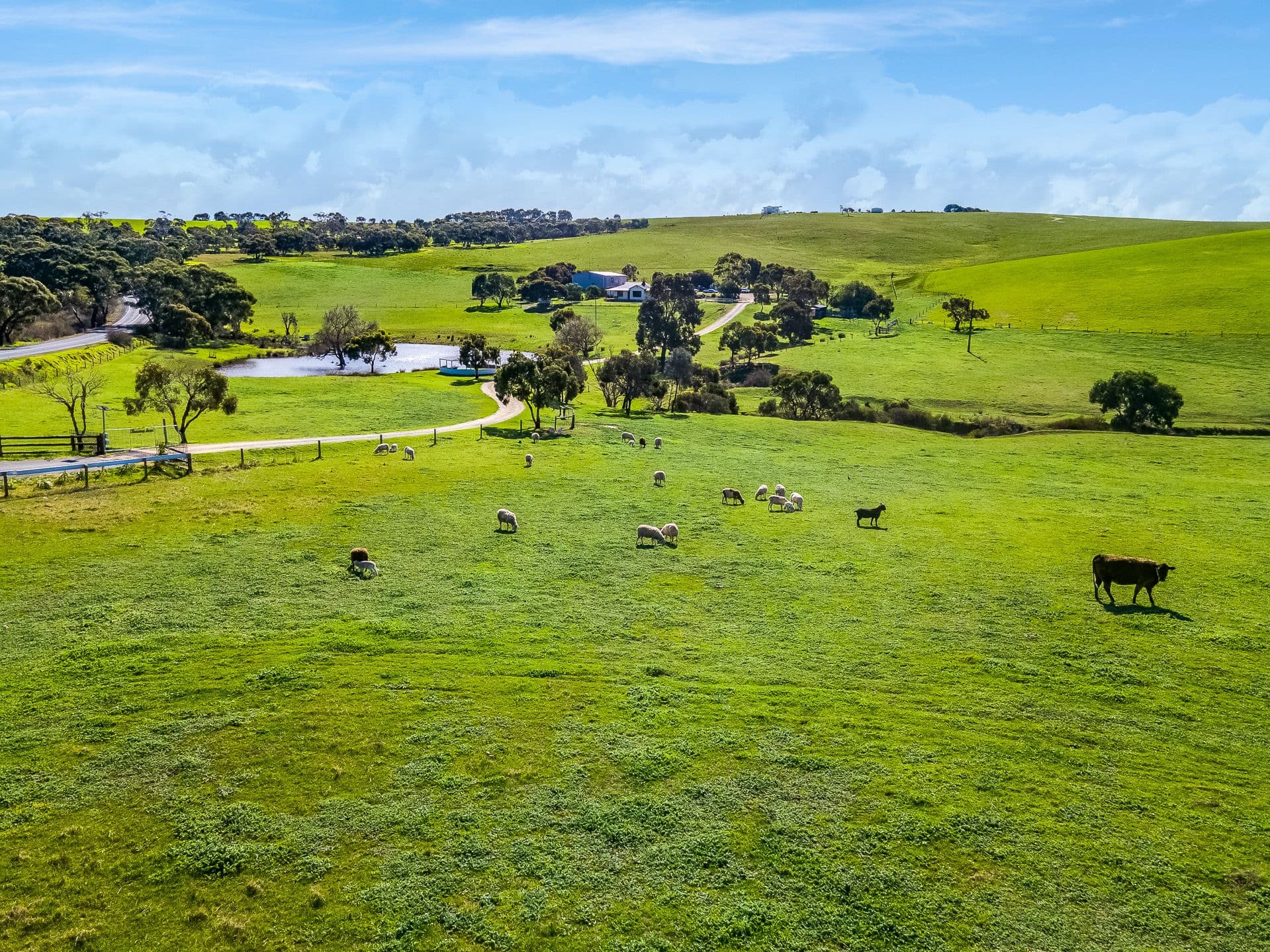 1415 Goolwa Road, Currency Creek SA 5214, Currency Creek - Thumbnail 4