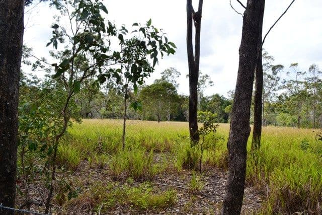 384 Tanby Post Office Road, BONDOOLA QLD 4703, Bondoola - Thumbnail 2