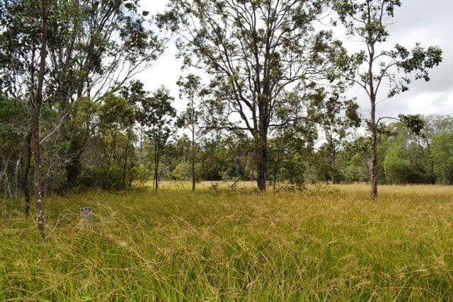 384 Tanby Post Office Road, BONDOOLA QLD 4703, Bondoola - Thumbnail 4