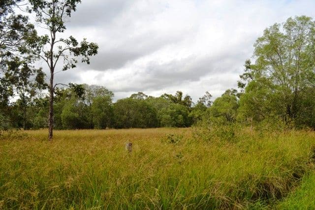 384 Tanby Post Office Road, BONDOOLA QLD 4703, Bondoola - Thumbnail 5