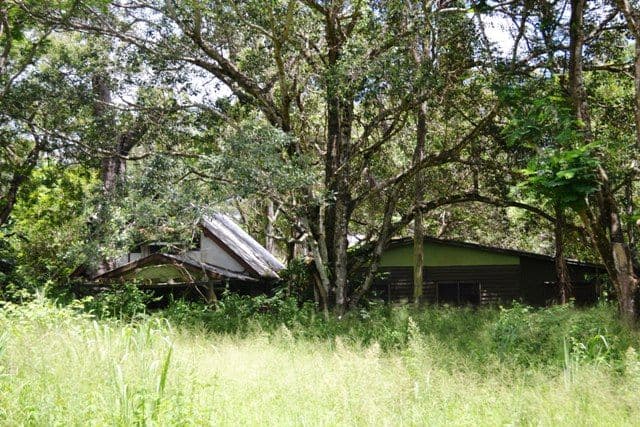 384 Tanby Post Office Road, BONDOOLA QLD 4703, Bondoola - Thumbnail 6