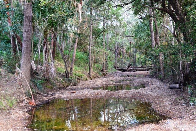 384 Tanby Post Office Road, BONDOOLA QLD 4703, Bondoola - Thumbnail 7