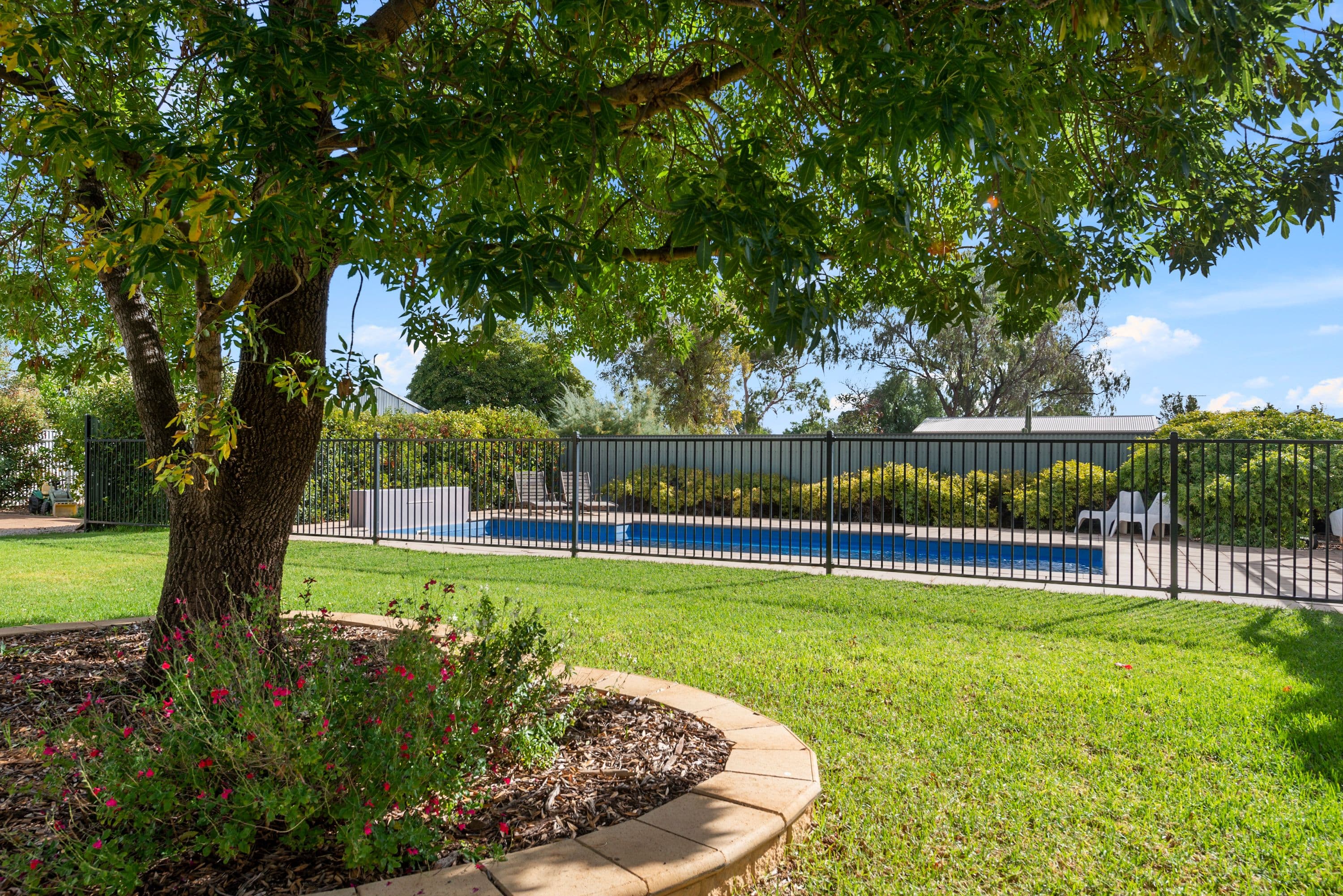 60 Edith Terrace, Balaklava SA 5461, Balaklava - Thumbnail 4