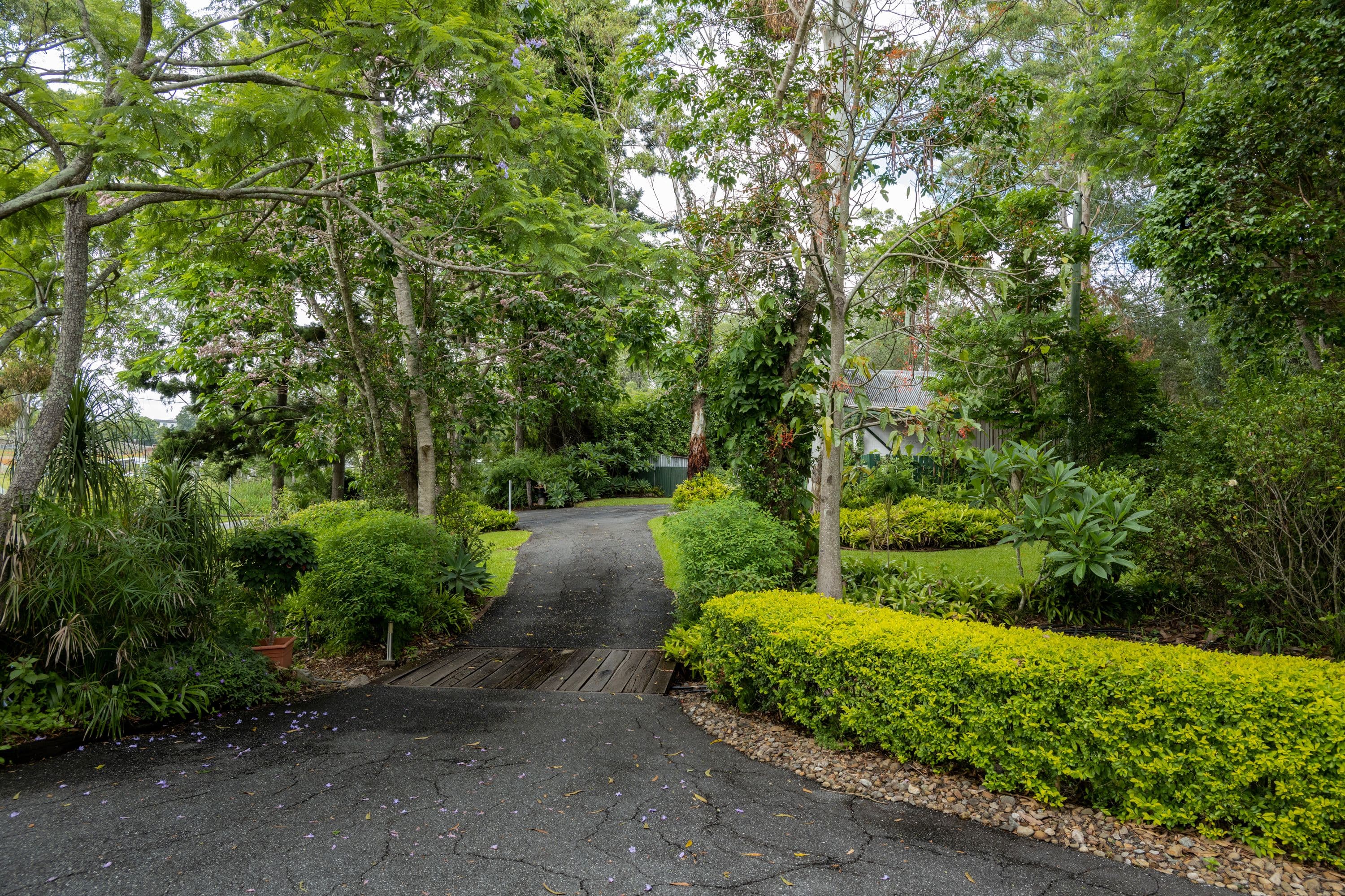 110 Cliveden Avenue, Corinda QLD 4075, Corinda - Thumbnail 5