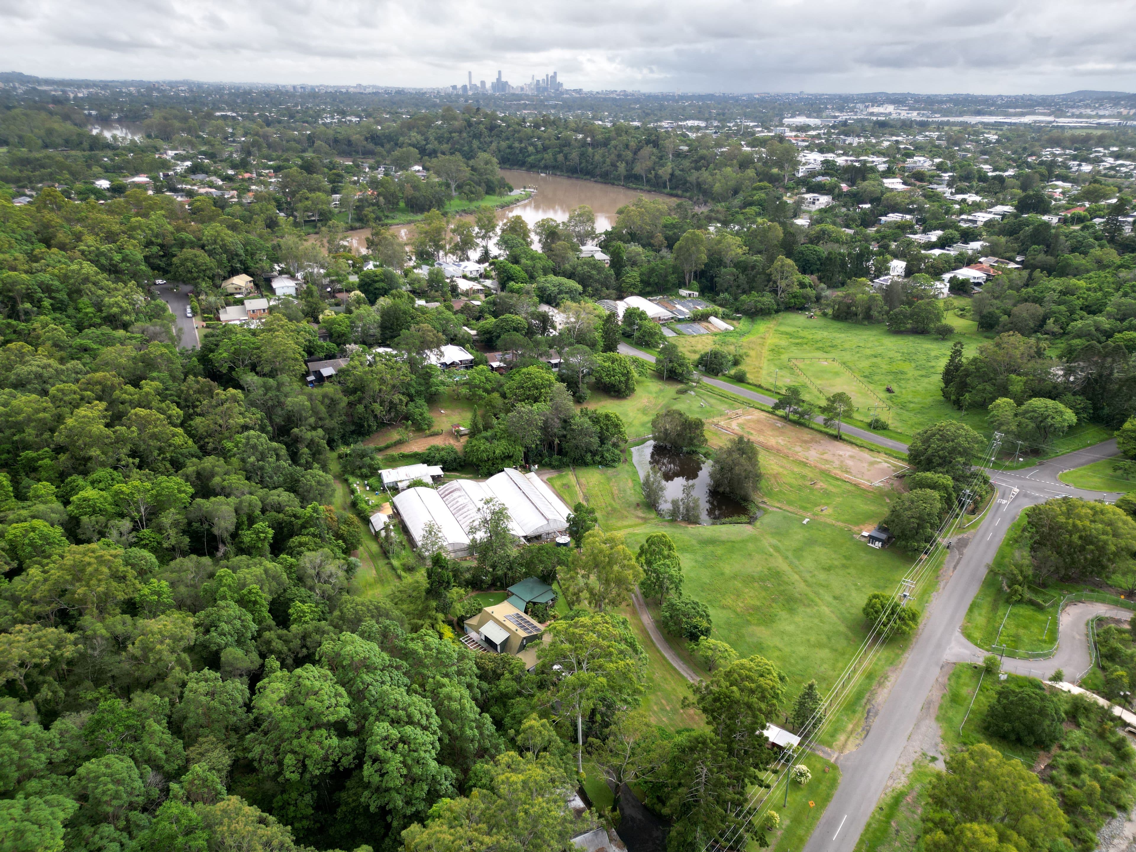 110 Cliveden Avenue, Corinda QLD 4075, Corinda - Thumbnail 6