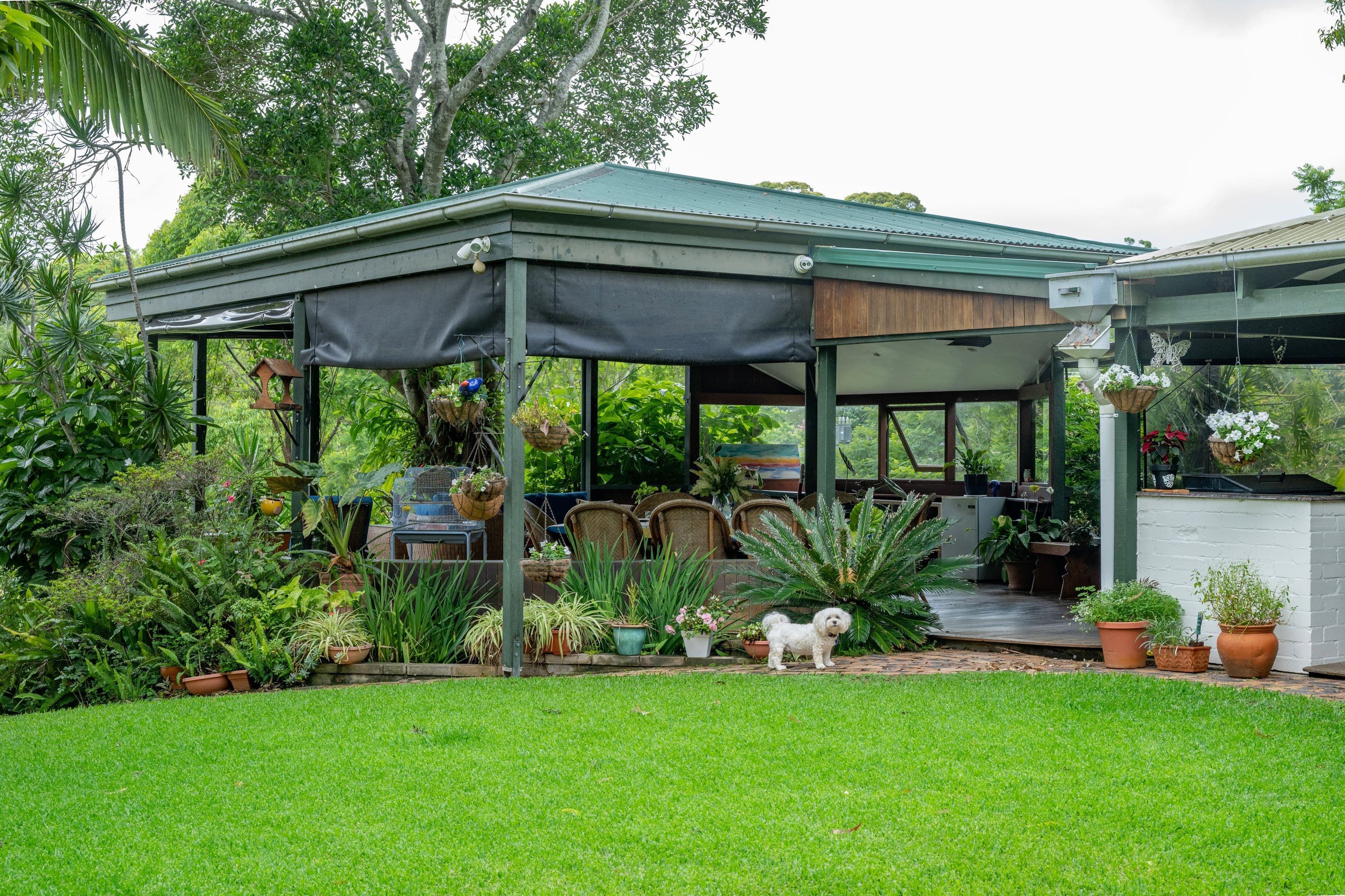 110 Cliveden Avenue, Corinda QLD 4075, Corinda - Thumbnail 7