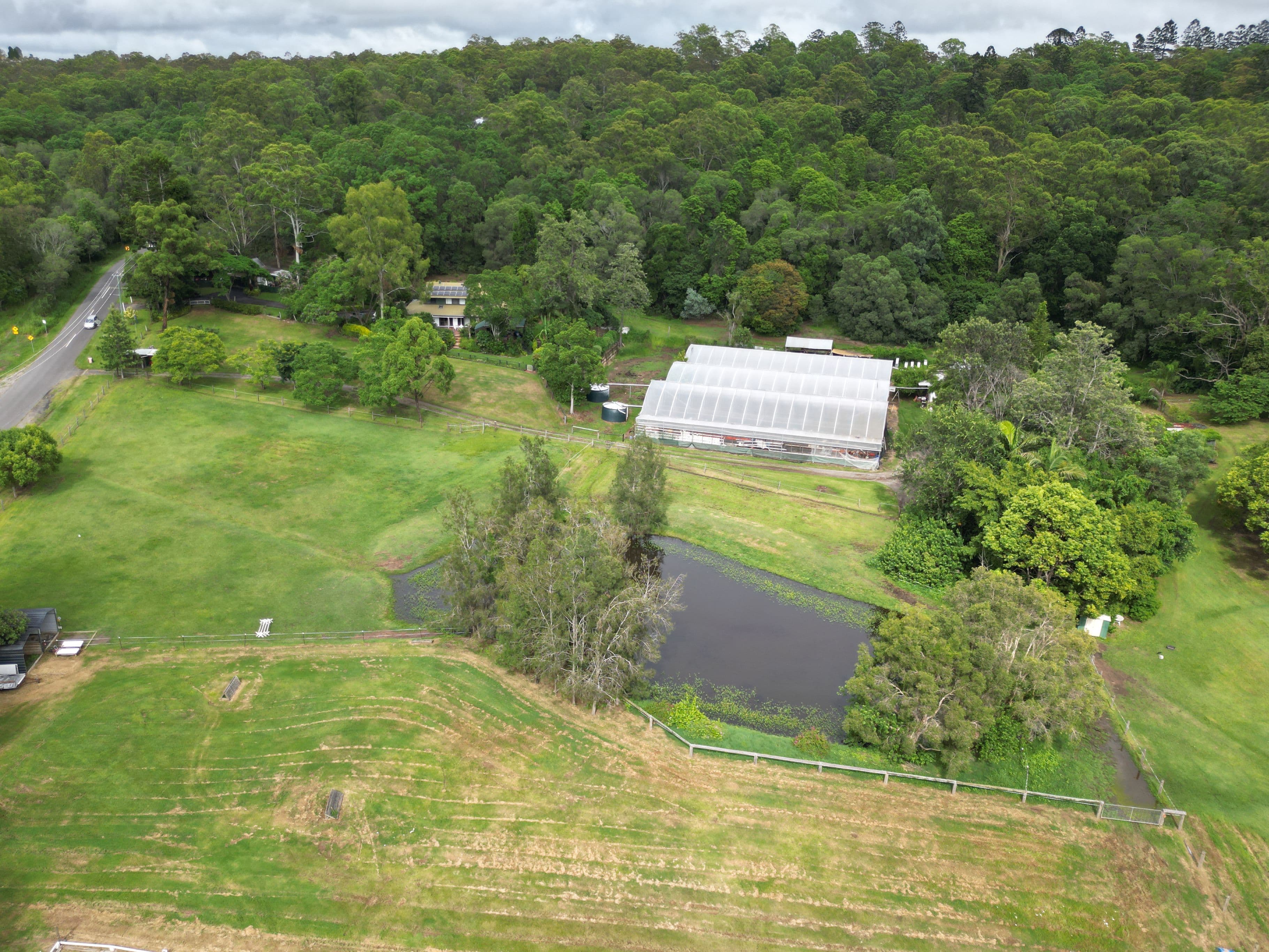 110 Cliveden Avenue, Corinda QLD 4075, Corinda - Thumbnail 8