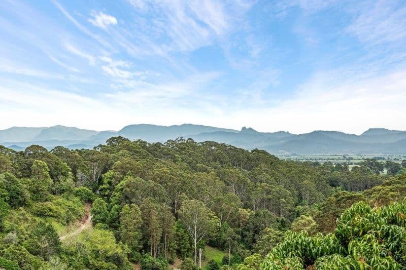 445 Clothiers Creek Road, Nunderi NSW 2484, Nunderi - Thumbnail 2
