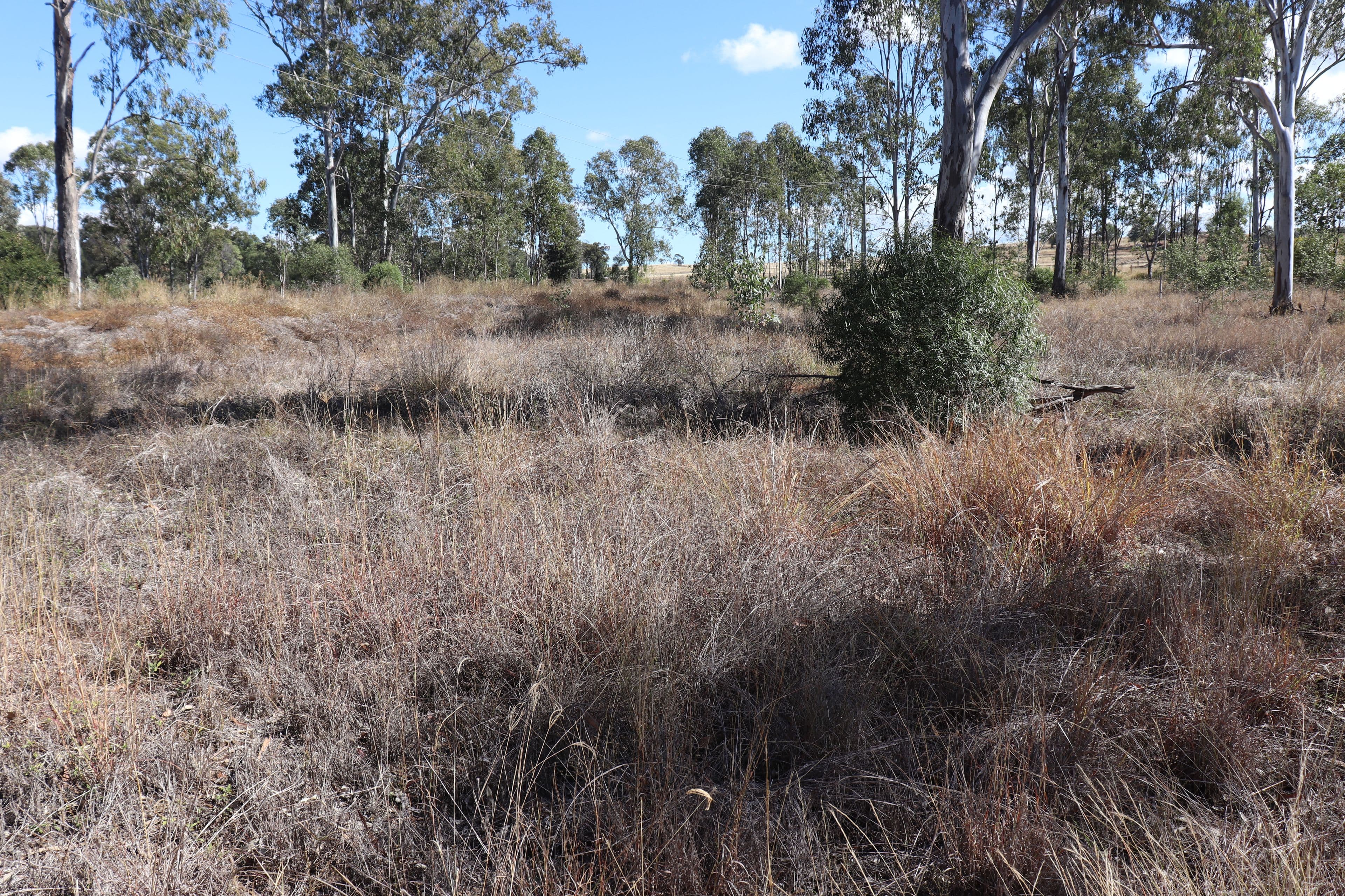 Lot 3 Greiners Road, Mundubbera QLD 4626, Mundubbera - Image 1