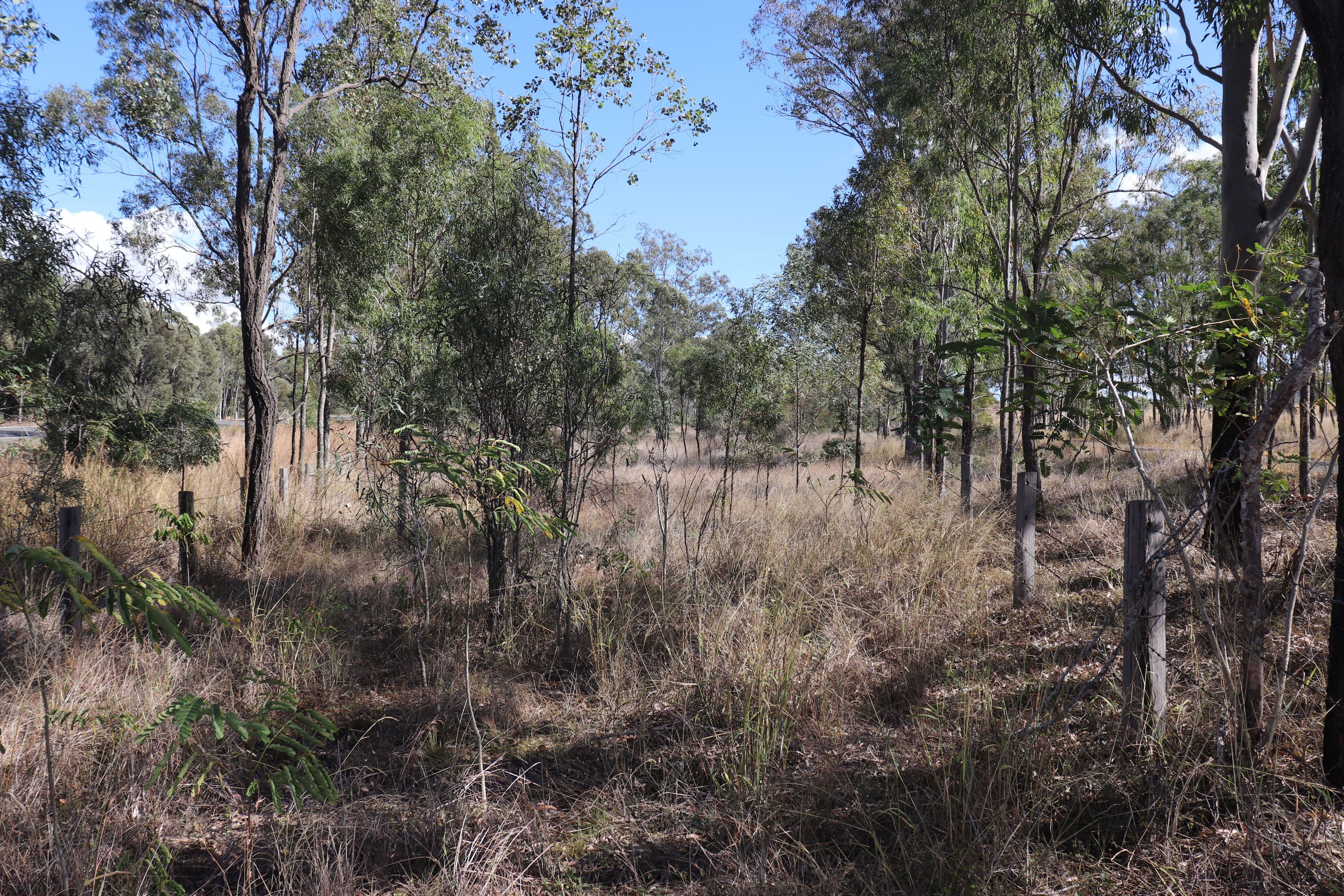 Lot 3 Greiners Road, Mundubbera QLD 4626, Mundubbera - Thumbnail 3