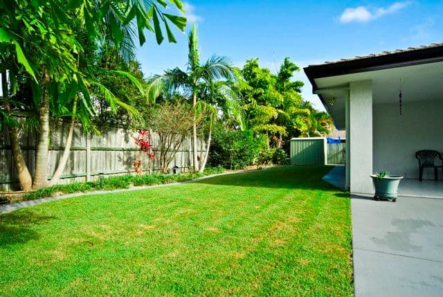 4  Setonhall Court, SIPPY DOWNS QLD 4556, Sippy Downs - Thumbnail 5