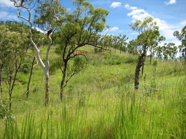 Lot 5 Chisholm Trail, OAK VALLEY QLD 4811, Oak Valley - Thumbnail 2