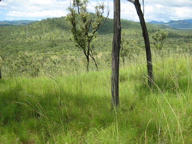 Lot 5 Chisholm Trail, OAK VALLEY QLD 4811, Oak Valley - Thumbnail 3