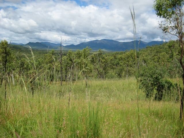 Lot 5 Chisholm Trail, OAK VALLEY QLD 4811, Oak Valley - Thumbnail 4