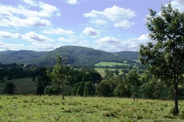 231 Webbers Creek Road, PATERSON NSW 2421, Paterson - Image 1