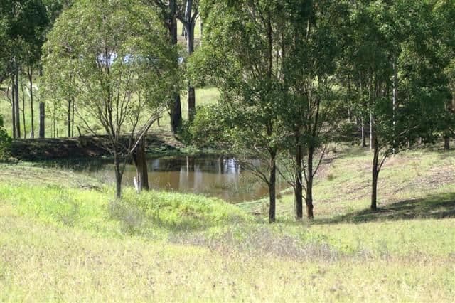 231 Webbers Creek Road, PATERSON NSW 2421, Paterson - Thumbnail 2
