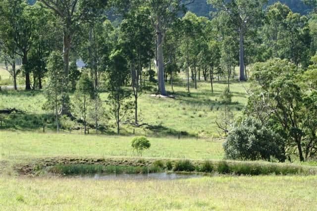 231 Webbers Creek Road, PATERSON NSW 2421, Paterson - Thumbnail 3