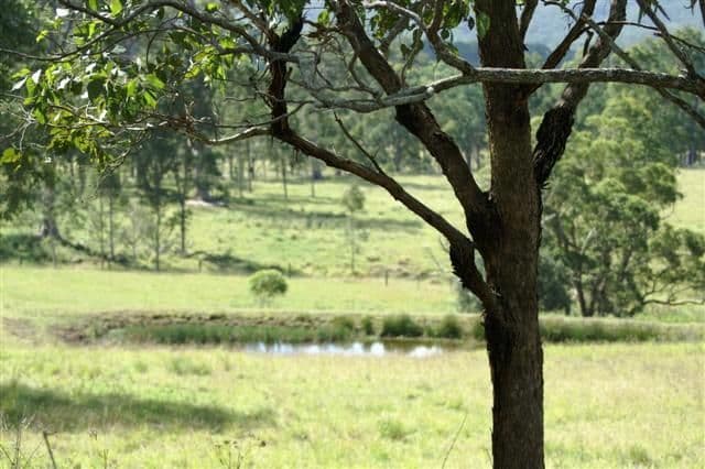 231 Webbers Creek Road, PATERSON NSW 2421, Paterson - Thumbnail 4