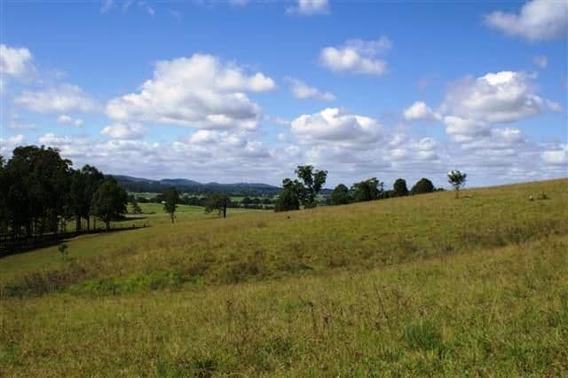 231 Webbers Creek Road, PATERSON NSW 2421, Paterson - Thumbnail 5
