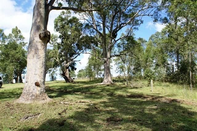 231 Webbers Creek Road, PATERSON NSW 2421, Paterson - Thumbnail 6