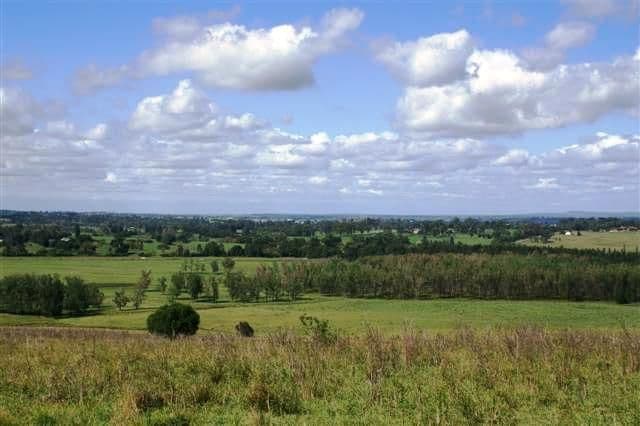231 Webbers Creek Road, PATERSON NSW 2421, Paterson - Thumbnail 7