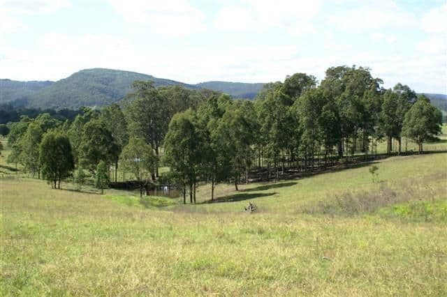 231 Webbers Creek Road, PATERSON NSW 2421, Paterson - Thumbnail 8