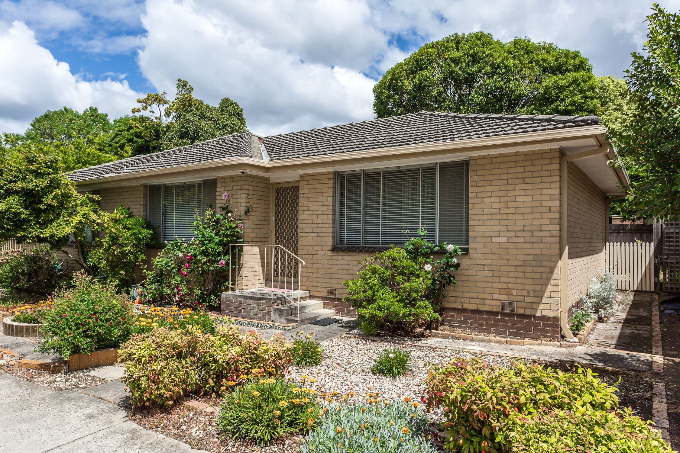 24 Harrison Street, Mitcham VIC 3132, Mitcham - Image 1