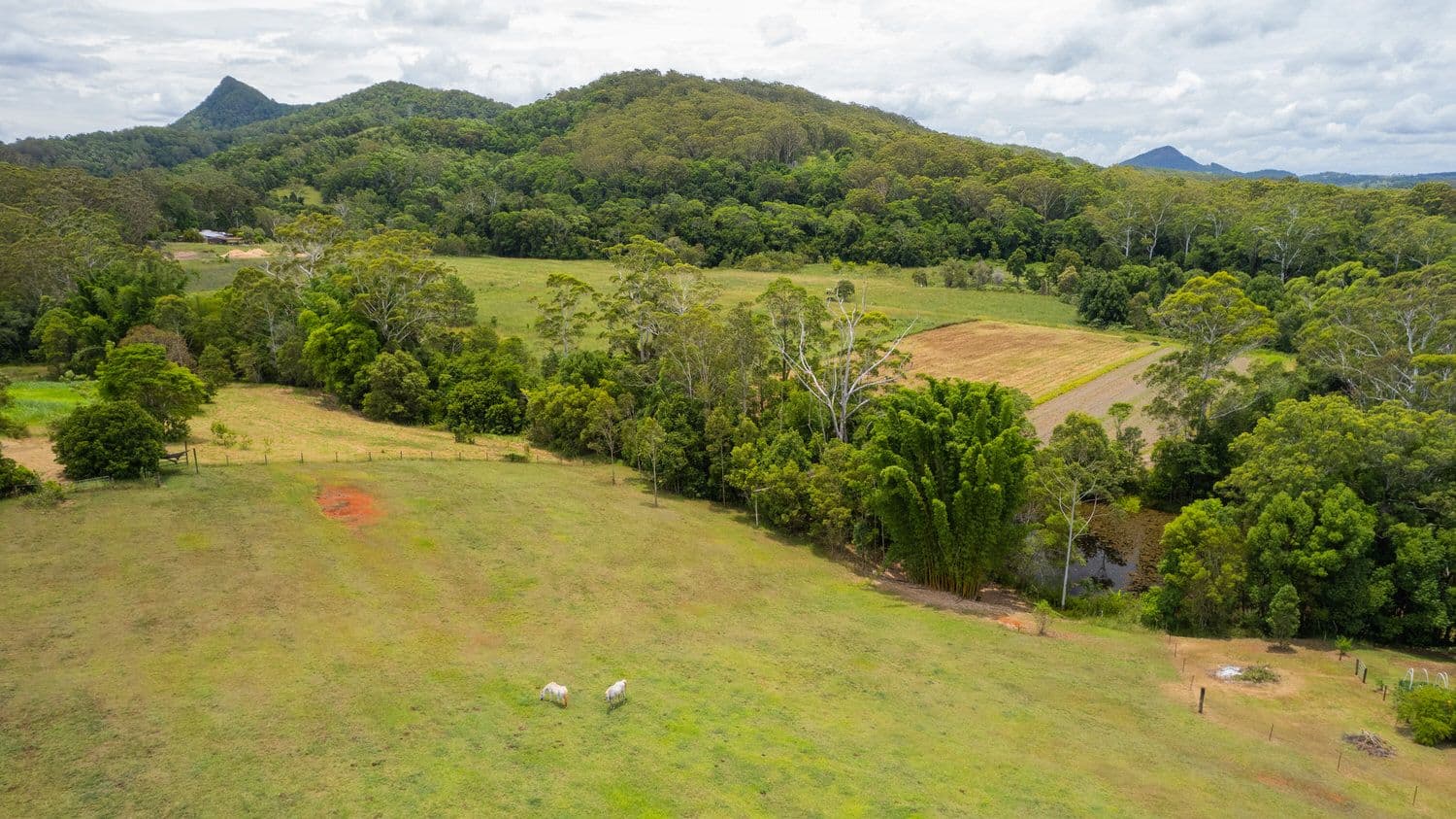 129 Gold Creek Road, North Arm QLD 4561, North Arm - Thumbnail 5