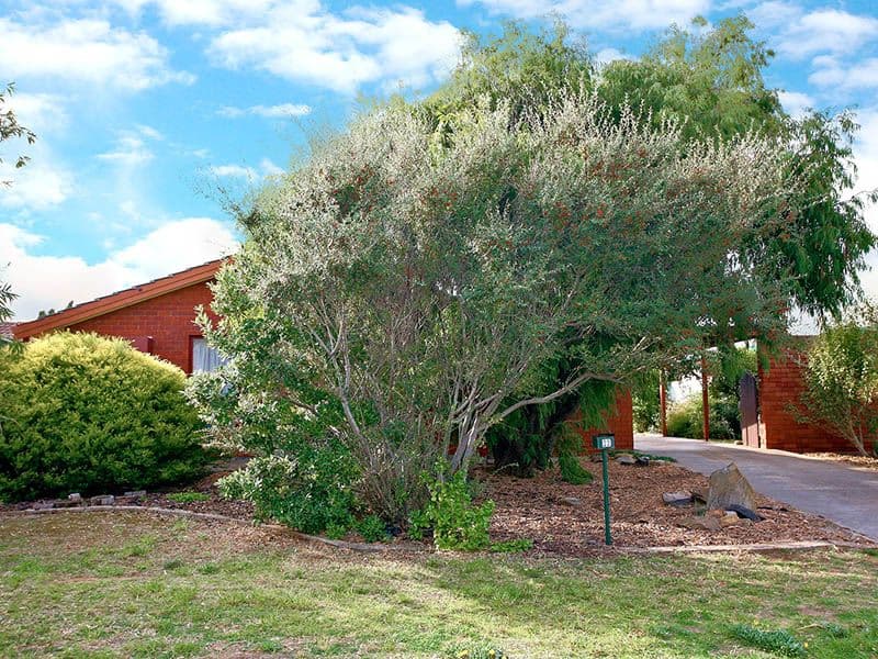 22 Pilot Crescent, SEAFORD SA 5169, Seaford - Thumbnail 2