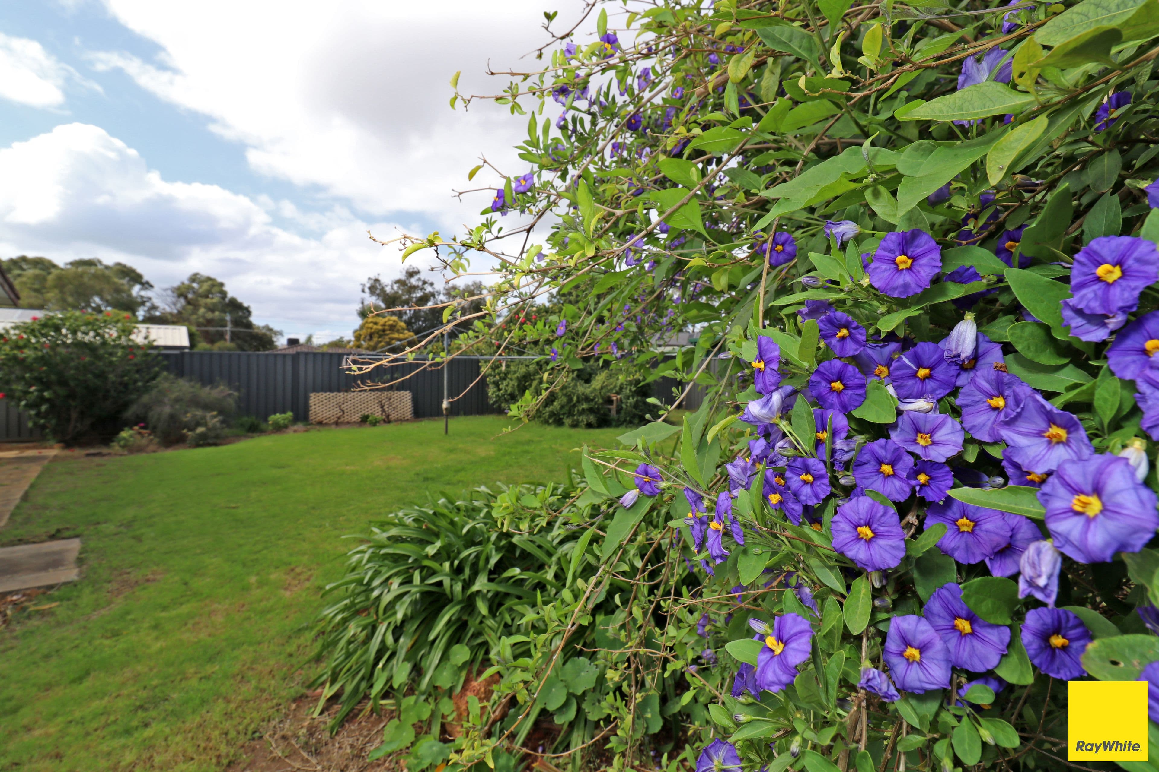 3 Garnsworthy Place, Bassendean WA 6054, Bassendean - Thumbnail 3