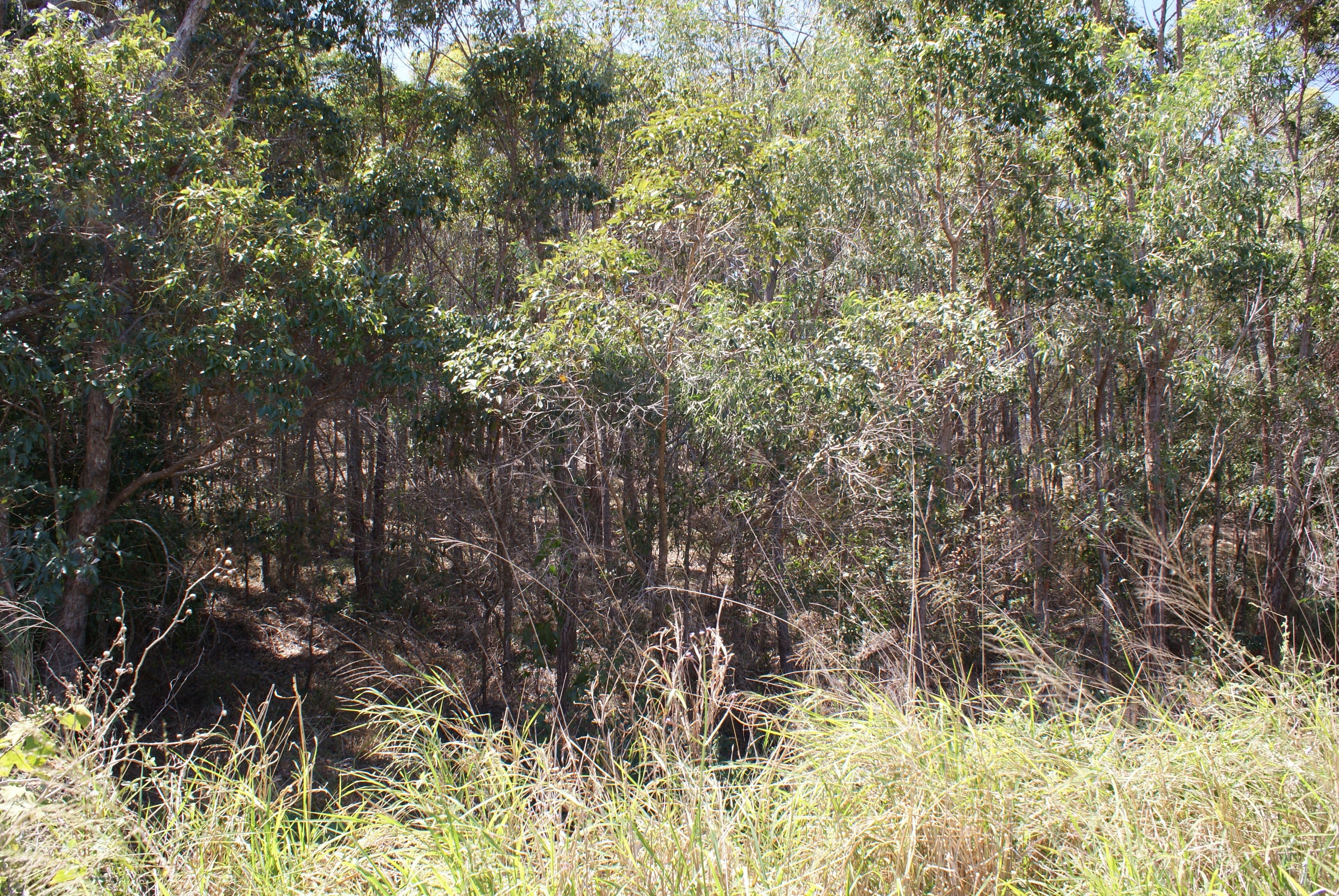 8 Bayview Close, Agnes Water QLD 4677, Agnes Water - Thumbnail 5